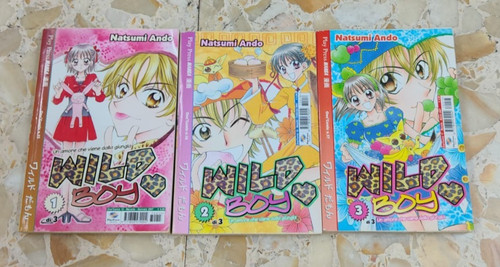 Wild boy serie completa - boy,