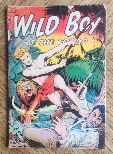 Wild boy 1954 - wild,